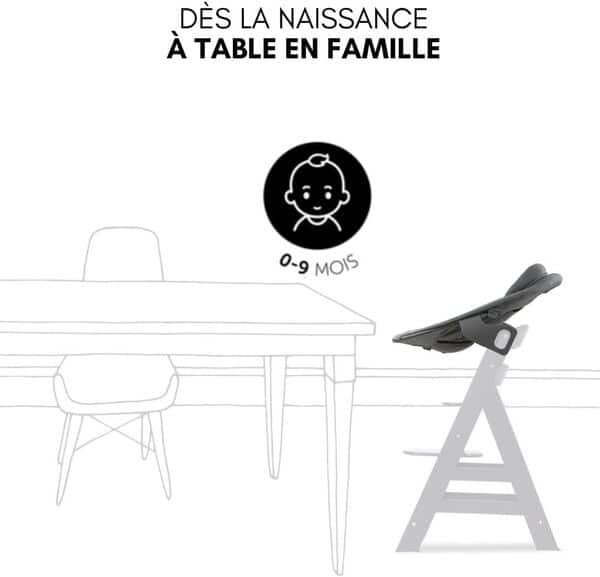 hauck Chaise Haute Bébé Alpha Plus Newborn Set Premium - Évolutive avec Transat Inclinable Extra Plat, Coussin d’Assise et Réducteur en Coton - Blanc