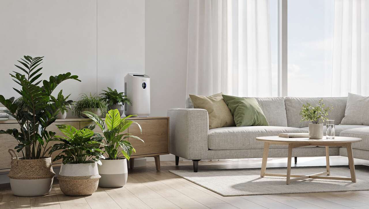 Améliorer la qualité de l'air intérieur : conseils et astuces